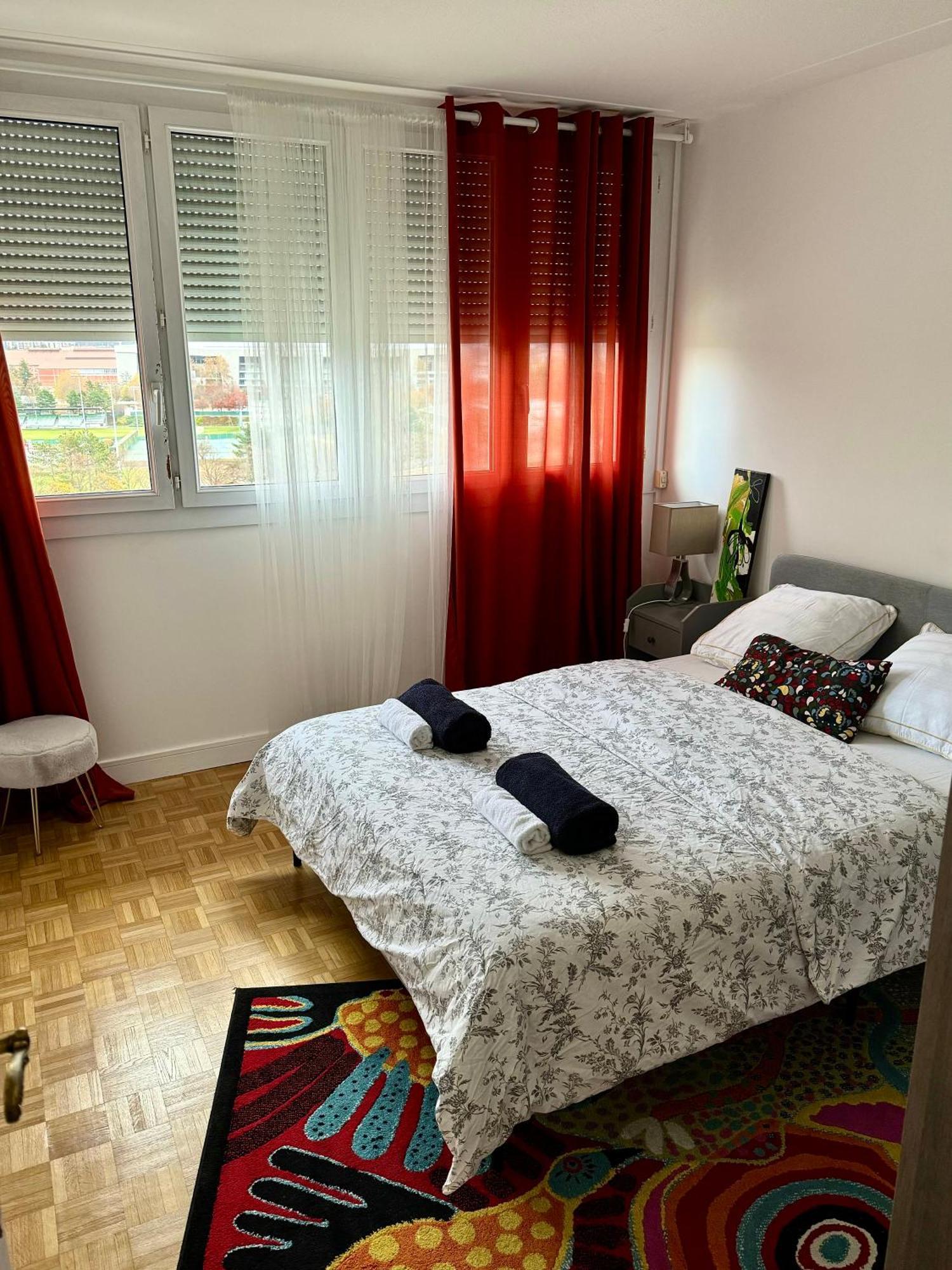Bergson Top - Appart 80M2, 2 Grandes Chambres, Entierement Renovee Et Equipee, Lumineux, Wifi, Balcon, Calme, Vue Imprenable Saint-Etienne  Ngoại thất bức ảnh